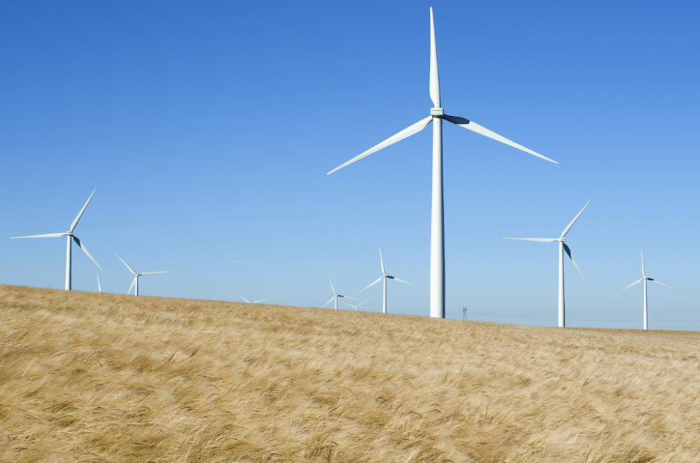 Carbon Neutrality Windmills in field